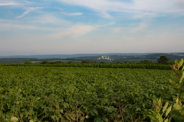 Fototapeta na wymiar Landscape shot of a field in Pennsylvania