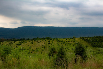 Fototapeta na wymiar Landscape shot of a field in Pennsylvania