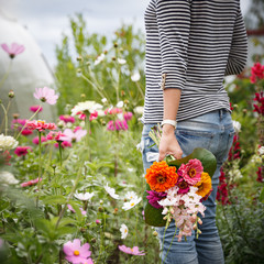 Closeup of a young woman collecting a bouquet of beautiful multi-colored garden flowers. The girl...