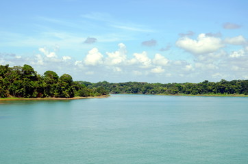 Fototapeta na wymiar Green landscape of the Panama Canal, view from transiting container ship.