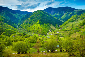 Beautiful simple landscape in rural Romania