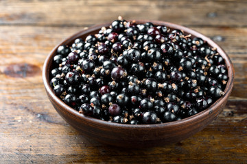 Blackcurrant berries with leaves