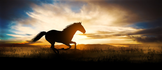 Course de chevaux gratuite au coucher du soleil