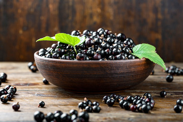 Blackcurrant berries with leaves