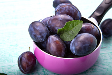 Obraz premium purple plum harvest