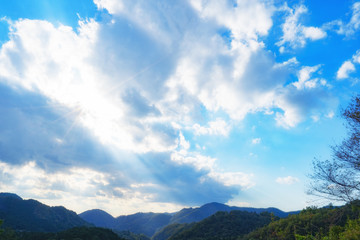 Obraz premium 大地に降り注ぐ陽の光