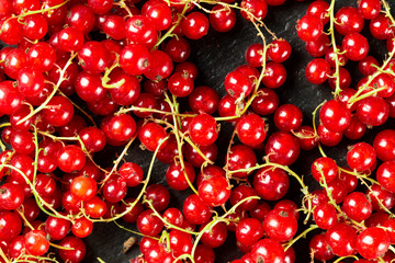 red currant as background