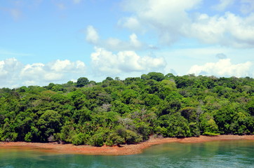 Green landscape of the Panama Canal, view from transiting container ship.