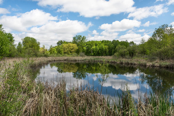 Fototapeta na wymiar A Pond Reflecting the Sky