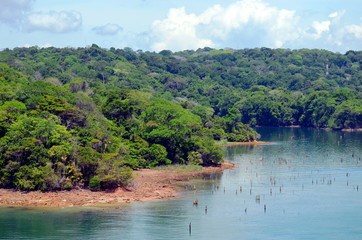 Green landscape of the Panama Canal, view from transiting container ship.