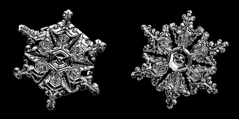 Two snowflakes isolated on black background. Illustration based on macro photos of real snow crystals: elegant star plates with hexagonal symmetry, short simple arms and glossy, relief surface.