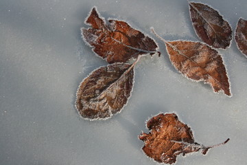 Fall and Winter Scenes in Oregon and California