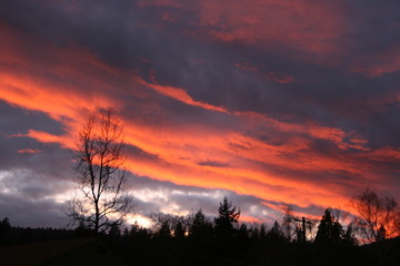 Fall and Winter Scenes in Oregon and California