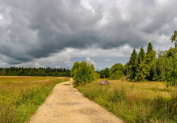 The road through the field in the Leningrad region to the farm.