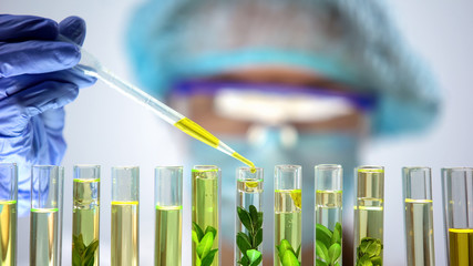 Biochemist dripping yellow substance into test tube with green plant, extraction