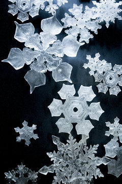 Close up view of snowflake patterns