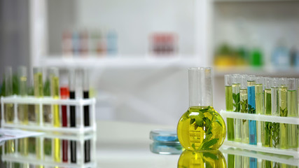 Tubes and flask with plant extract and colored liquids on table of lab assistant