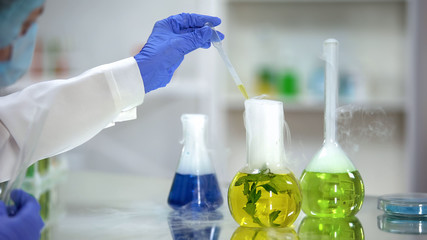 Chemist taking organic liquid sample from flask with plant, dermatology extract
