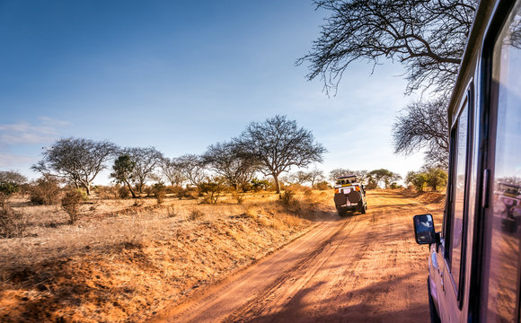 Fototapeta Safari road in Kenya