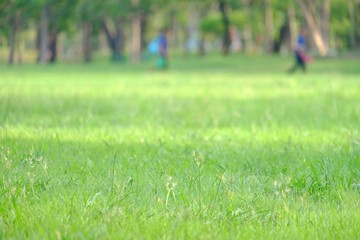 Blurred green grass field with sun light and people walking around the area 