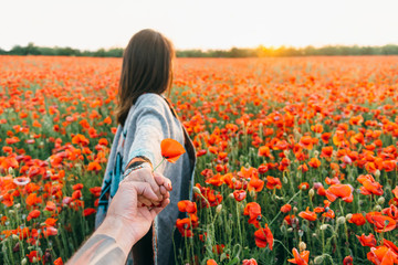 Pov of man follows a woman in poppy field.