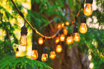 Outdoor string lights hang from large pine trees on the deck of a cabin in the summer, fine art lifestyle home decor styling.