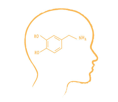 Silhouette of the head and formula of dopamine on a white background. Vector illustration.