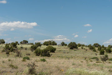 Beautiful New Mexico wilderness vista in springtime