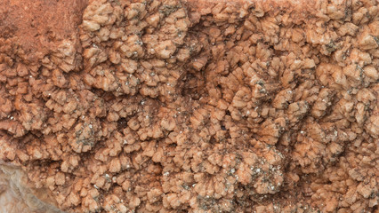 raw mineral with pyrite and quartz