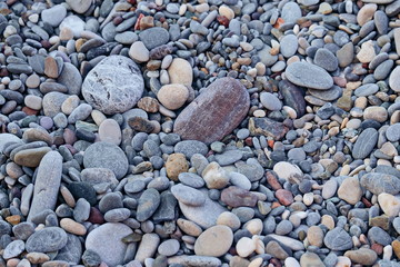 The pebbles on the beach.