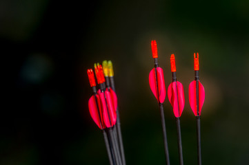 archery arrows on a black background