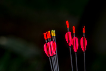 archery arrows on a black background