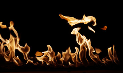 burning fire flame on the black background