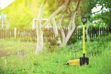 Yellow shovel and hose pipe