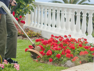 A gardener is working outside with different implements