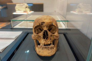 medieval skull