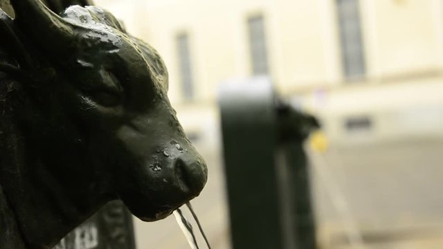 Turin, Piedmont, Italy. May 2019. A look at Piazza Gian Lorenzo Bernini. A triptych of drinking water fountains, the first shows the clear bull's head and the others blurred in the background.
