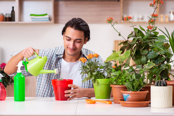 Young handsome man cultivating flowers at home