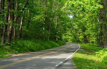 Scenic Route in a US National Park