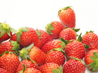 いちご　とちおとめ