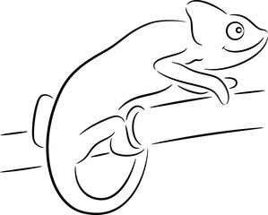 chameleon sitting on the branch
