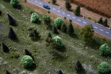 Country road with green trees, car and dry wheat crop field. Agriculture concept