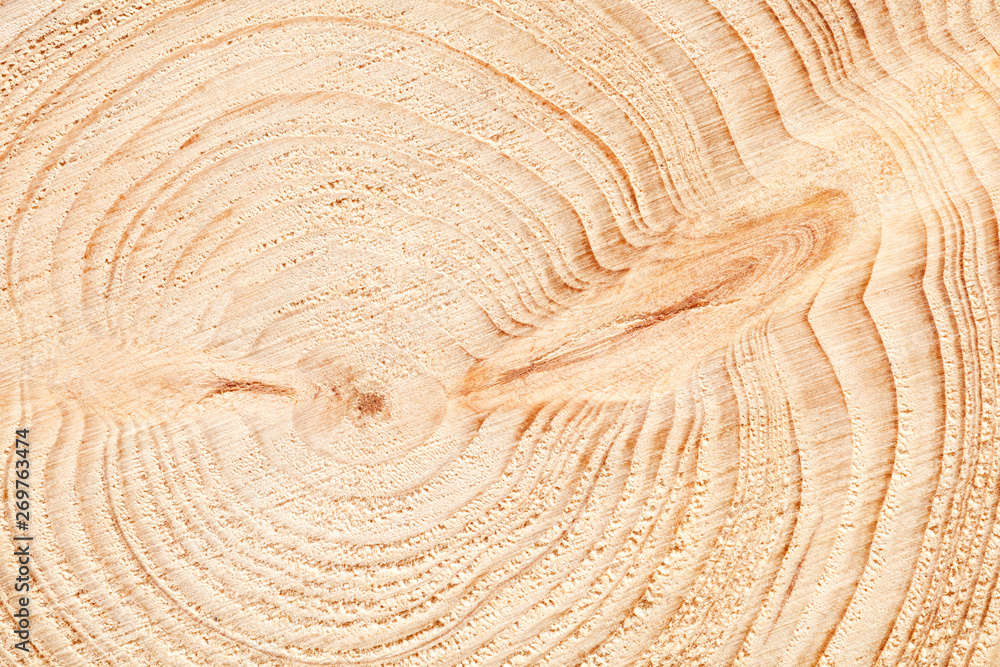 Poster large circular piece of wood cross section with tree ring texture pattern and cracks background. det