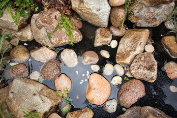 Large boulders in artificial pond, fern in water