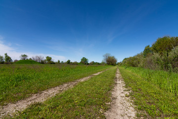 Road through the Tallgrass Prairie