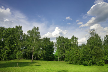 Fototapeta na wymiar Mitino landscape park.