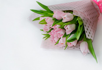 pink tulip flowers on a light background