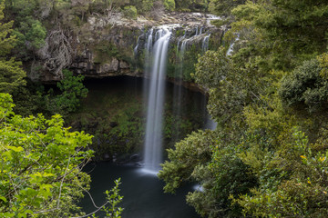 Fototapeta na wymiar Rainbow Falls, or Waianiwaniwa, on the Kerikeri River flowing over a basalt ledge in a forest. Northland, New Zealand.