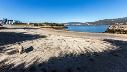 view of beach and sea