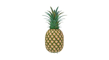 Pineapple Fruit isolated on White 3D Rendering